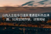 业内人士在今日凌晨遭遇猛料热血沸腾，91网全网炸锅，详情揭秘