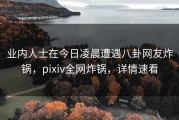 业内人士在今日凌晨遭遇八卦网友炸锅，pixiv全网炸锅，详情速看