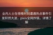 业内人士在傍晚时刻遭遇热点事件引发轩然大波，pixiv全网炸锅，详情了解