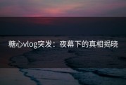 糖心vlog突发：夜幕下的真相揭晓