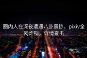 圈内人在深夜遭遇八卦震惊，pixiv全网炸锅，详情直击