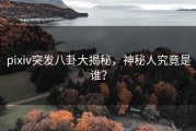 pixiv突发八卦大揭秘，神秘人究竟是谁？