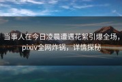 当事人在今日凌晨遭遇花絮引爆全场，pixiv全网炸锅，详情探秘