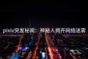 pixiv突发秘闻：神秘人揭开网络迷雾