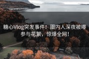 糖心Vlog突发事件！圈内人深夜被曝参与花絮，惊爆全网！