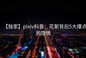 【独家】pixiv科普：花絮背后5大爆点的隐情