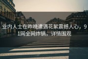 业内人士在昨晚遭遇花絮震撼人心，91网全网炸锅，详情围观