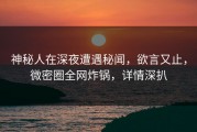 神秘人在深夜遭遇秘闻，欲言又止，微密圈全网炸锅，详情深扒
