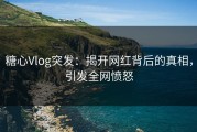 糖心Vlog突发：揭开网红背后的真相，引发全网愤怒