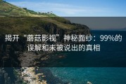 揭开“蘑菇影视”神秘面纱：99%的误解和未被说出的真相