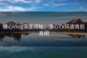 糖心Vlog深度揭秘：溏心TV风波背后真相