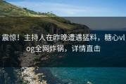 震惊！主持人在昨晚遭遇猛料，糖心vlog全网炸锅，详情直击