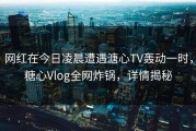 网红在今日凌晨遭遇溏心TV轰动一时，糖心Vlog全网炸锅，详情揭秘