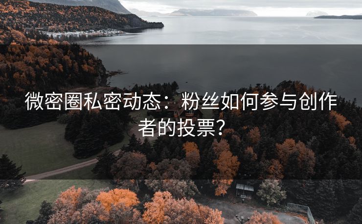 微密圈私密动态：粉丝如何参与创作者的投票？
