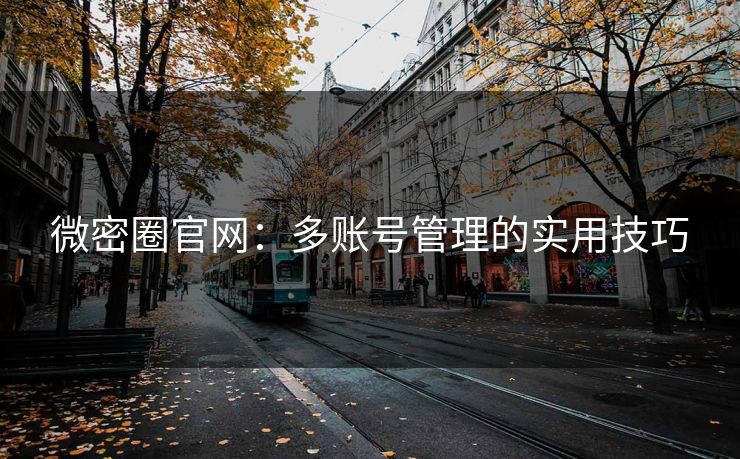 微密圈官网：多账号管理的实用技巧