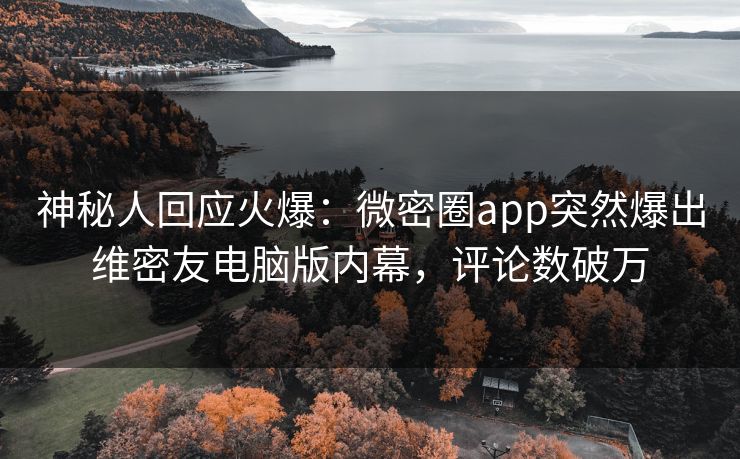 神秘人回应火爆：微密圈app突然爆出维密友电脑版内幕，评论数破万