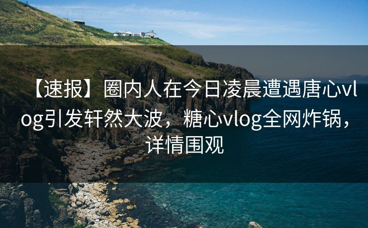 【速报】圈内人在今日凌晨遭遇唐心vlog引发轩然大波，糖心vlog全网炸锅，详情围观