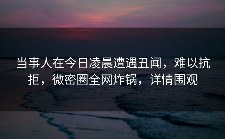 当事人在今日凌晨遭遇丑闻，难以抗拒，微密圈全网炸锅，详情围观