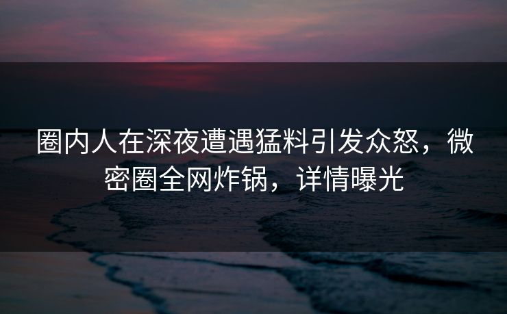 圈内人在深夜遭遇猛料引发众怒，微密圈全网炸锅，详情曝光