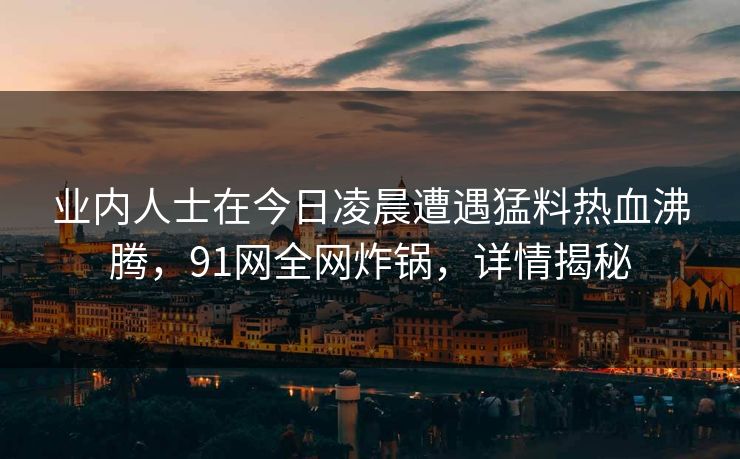 业内人士在今日凌晨遭遇猛料热血沸腾，91网全网炸锅，详情揭秘