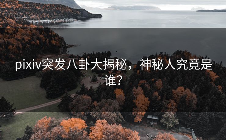 pixiv突发八卦大揭秘，神秘人究竟是谁？