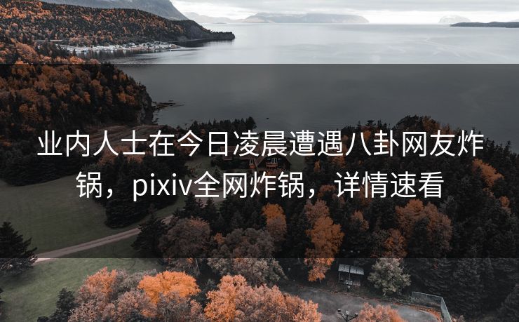 业内人士在今日凌晨遭遇八卦网友炸锅，pixiv全网炸锅，详情速看