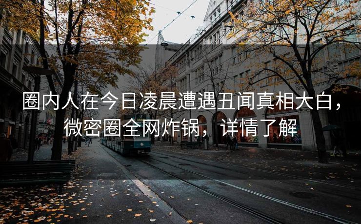 圈内人在今日凌晨遭遇丑闻真相大白，微密圈全网炸锅，详情了解