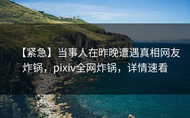 【紧急】当事人在昨晚遭遇真相网友炸锅，pixiv全网炸锅，详情速看