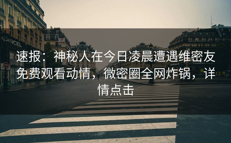 速报：神秘人在今日凌晨遭遇维密友免费观看动情，微密圈全网炸锅，详情点击