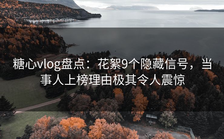 糖心vlog盘点：花絮9个隐藏信号，当事人上榜理由极其令人震惊